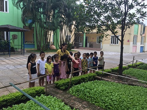 Các bạn nhỏ lớp A4 rất thích thú được hoạt động vườn rau tại khu “ Vườn rau của bé”